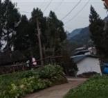 四川省,南充市,仪陇县,大寅镇,柳林村