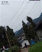 四川省,南充市,仪陇县,大寅镇,柳林村