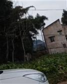 四川省,南充市,仪陇县,大寅镇,柳林村