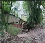 四川省,南充市,仪陇县,大寅镇,柳林村