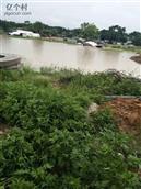 四川省,南充市,仪陇县,大寅镇,柳林村