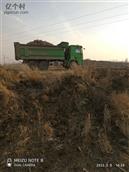 西卢庄村 把土拉走垫上建筑垃圾铺上底肥就能种地了