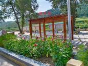 山西省,大同市,灵丘县,赵北乡,跃子沟村