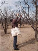 山西省,忻州市,原平市,东社镇,沟里村