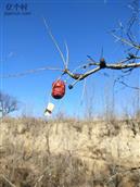 山西省,忻州市,原平市,东社镇,沟里村