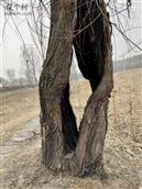 山西省,忻州市,原平市,东社镇,沟里村