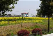 浙江省,湖州市,南浔区,南浔镇,李家河村
