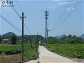 妙调村 妙调屯通往九龙村尾的路与天线塔。4月6日拍摄