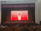 王坟村 开封市龙亭区十七届人大代表第一次会议