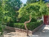 甘肃省,庆阳市,宁县,中村乡,秦店村