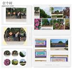 甘肃省,庆阳市,宁县,中村乡,秦店村