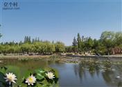 山东省,威海市,荣成市,人和镇,朱口村