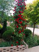 甘肃省,庆阳市,宁县,中村乡,秦店村