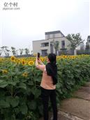 安徽省,安庆市,望江县,太慈镇,茶岭村