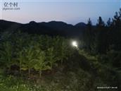 山东省,临沂市,沂水县,崔家峪镇,胡同峪村