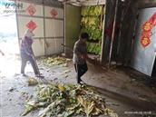 山东省,临沂市,沂水县,崔家峪镇,胡同峪村