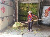 山东省,临沂市,沂水县,崔家峪镇,胡同峪村