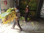 山东省,临沂市,沂水县,崔家峪镇,胡同峪村