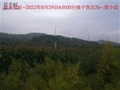 辽宁省,朝阳市,龙城区,半拉山街道,半拉山村