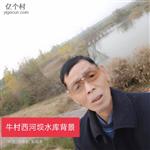 河南省,安阳市,汤阴县,宜沟镇,牛村