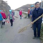 云南省,昭通市,永善县,码口乡,黑甲村