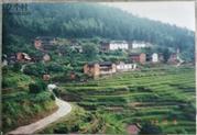 大光村 中国·蕉岭·高思·蛟湖1989年的田园风光