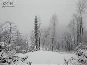 简槽村 今天早晨起来开门一看，漫山遍野雪的世界，人随景飞扬，被融入这仙境传说之中，心境满是家乡的美！