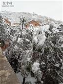 庆城村 庆城村谷雨时节雪景