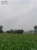 四川省,广安市,邻水县,长安乡,大堰村