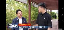 湖北省,黄冈市,麻城市,中馆驿镇,林家下湾村