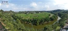 盘龙村 菜花坞全景图，现在种植的是稻谷。