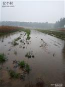 老潭寨村 河东沿岸农田下大雨就被淹，不适合农耕，适合发展渔养殖业