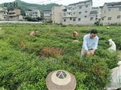 贵州省,黔东南州,镇远县,青溪镇,后山村