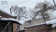 西陈位村 今天好大雪