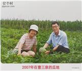 山西省,忻州市,原平市,解村乡,曹三泉村