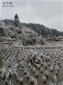 岑趸村 高山雪景