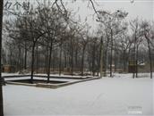 庙上村 