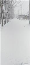 梁官村 二零二四年，一月十七日弟一场雪