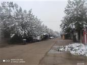 刘屯村 23年的第一场雪，美滴很