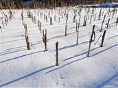 谭马村 大雪的农田