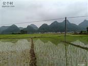 岭头村 这里的田地广袤、肥沃，自古以水稻为主，素有“地产嘉禾”的美称。