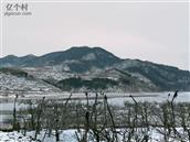 山东省,临沂市,沂水县,夏蔚镇,甄家疃村