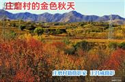 庄磨村 庄磨村地处黄土高原丘陵地带的一个小盆地，远离喧嚣的城市，没有空气污染和水污染。