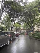 安徽省,安庆市,怀宁县,三桥镇,中联村