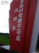 江西省,鹰潭市,贵溪市,白田乡,甘苏村