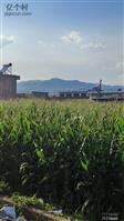 山西省,忻州市,原平市,西镇乡,南申村