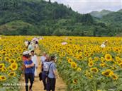 贵州省,黔南州,都匀市,摆忙乡,双堡村