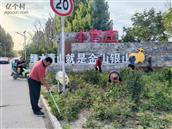 山东省,临沂市,兰陵县,大仲村镇,小官庄村