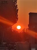 河南省,新乡市,获嘉县,徐营镇,铁官滩村