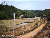 龙溪村 龙溪，马古境自然村